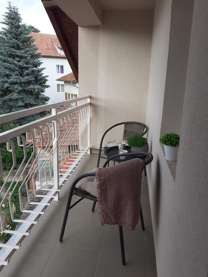 M Apartments Сокобаня Экстерьер фото