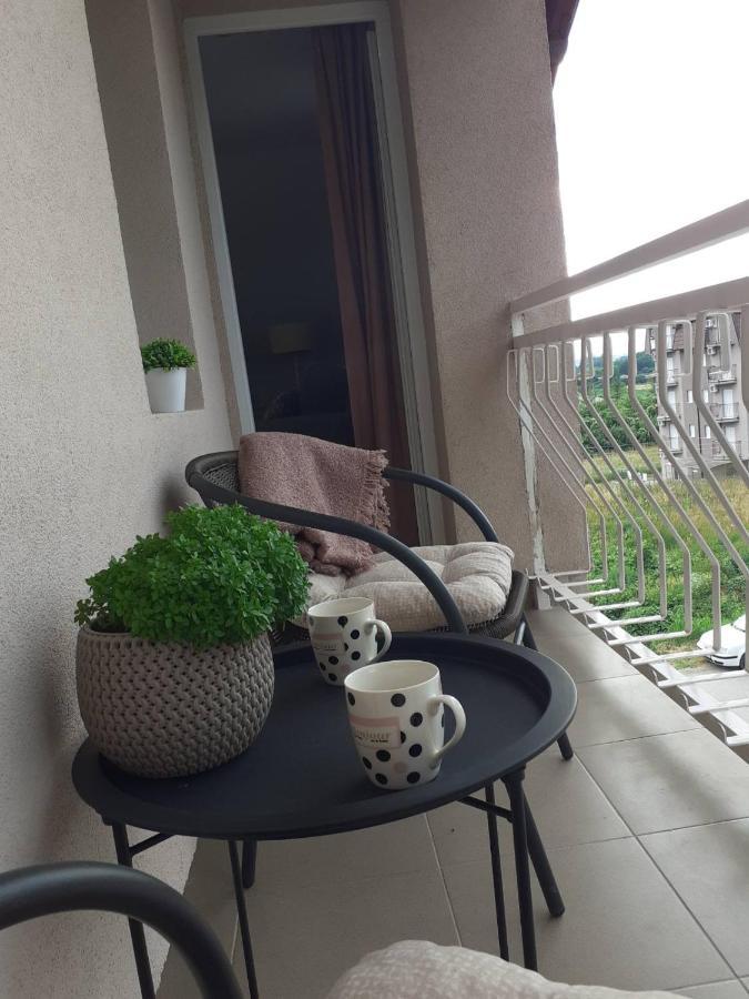 M Apartments Сокобаня Экстерьер фото