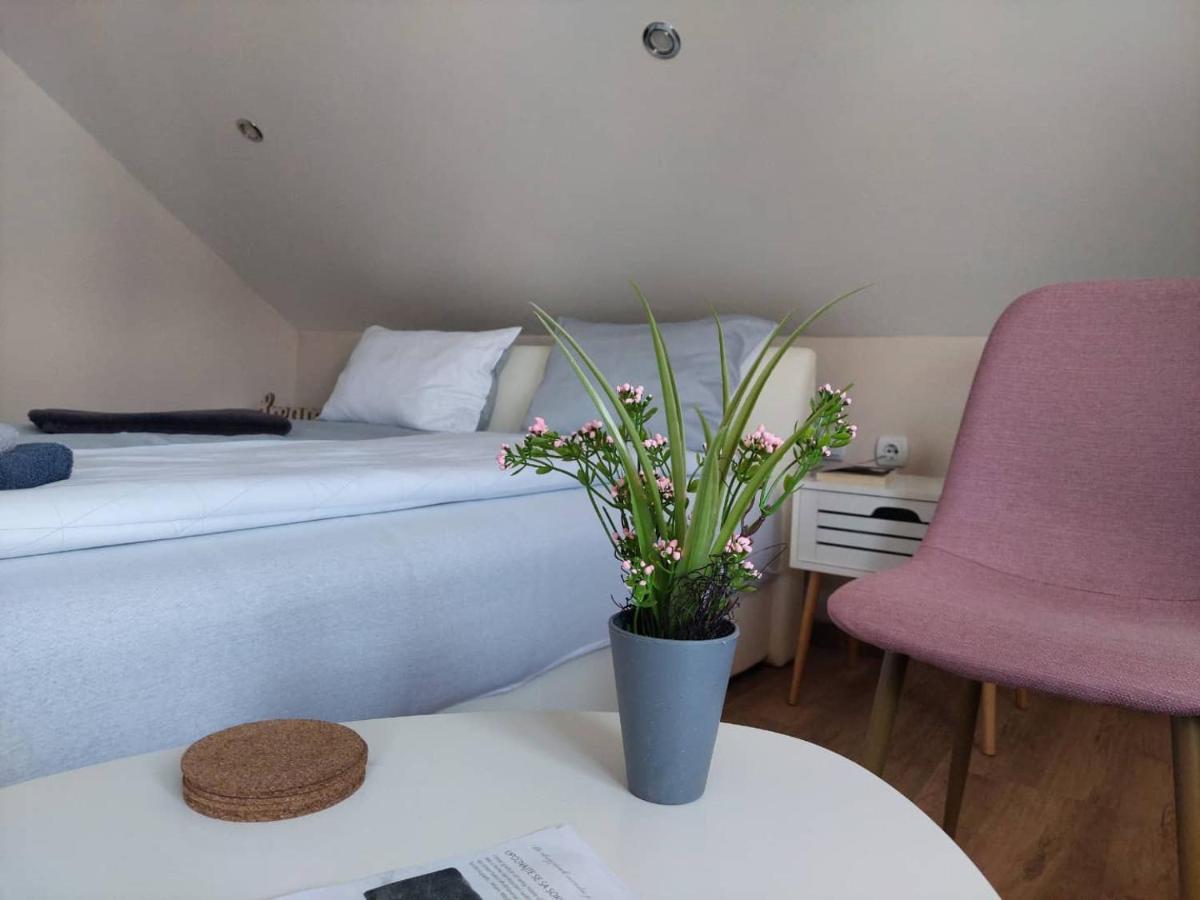 M Apartments Сокобаня Экстерьер фото