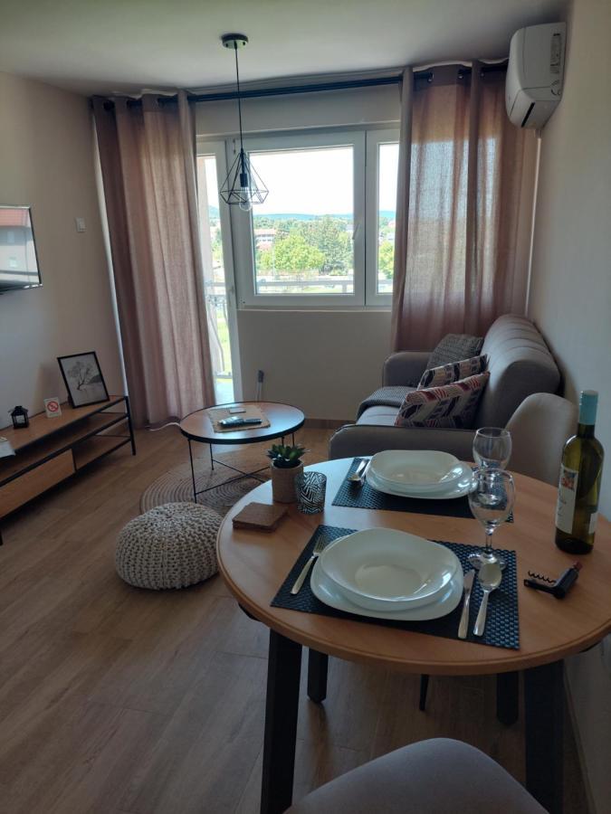 M Apartments Сокобаня Экстерьер фото